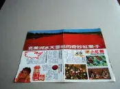 早期廣告＠小紅莓廣告雜誌內頁1張照片＠群星書坊AY15-1