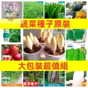 （原廠大包裝蔬菜種子）水晶冰菜#空心菜#小蔥#油麥菜#快菜#白菜#香菜種子#朝天椒#貝貝南瓜#火紅芽菜種子#農家番茄種子