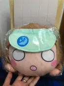 古書堂 日版LOVE LIVE國木田花丸水族館趴趴40cm高品質毛絨公仔有標有牌清倉熱賣