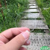 ✨24H免運💰50把咕卡貼紙迷你透明扇空白mini娃用小朋友小扇子diy手工幼稚園U152