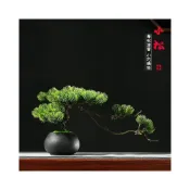 (店+)牧牧精品 仿真迎客松盆景 辦公桌麵茶室禪意仿真綠植裝飾 新中式青苔羅漢松 假樹 小盆栽擺件假花