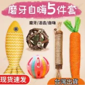 寵物優品⚡ 貓玩具逗貓棒貓薄荷木天蓼小貓自嗨解悶神器磨牙狗狗貓咪用品 3