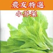 小芥菜【農友種苗】農友種苗 小芥菜(特選種子) 蔬菜種子  每包約12公克(g) 保證新鮮種子