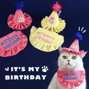 【品質驗證】寵物編織金蔥刺繡生日快樂花邊圍兜立體蛋糕貓咪狗狗帽子派對布置