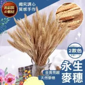 (店+)【織心手作】麥穗乾燥花 乾燥花材 麥穗 大麥 乾燥花 乾燥花束 花圈材料 花圈 春節掛飾 過年吊飾 新年掛飾