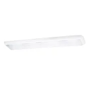 【大巨光】典雅風 附T8 LED 燈管4尺X2 日光燈_T8燈管_LED(LW-12-4812 小燈 耐熱飾條、烤漆鐵板、壓克力罩)