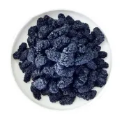 (店+)無糖桑葚乾(100g/包；桑椹乾 桑葚茶 果乾)