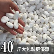 天然白石子庭院鋪路鵝卵石白色石子顆粒小白石頭陽臺造景景觀礫石