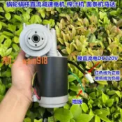 時悅商行 【台灣公司】AC220V整流渦輪蝸桿直流減速電機大功率大扭力永磁直流馬達正反轉