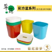 【藝起園夢】翠筠彩方盆 4吋/6吋 四方盆 花盆  塑膠花盆 彩色盆栽 栽培盆 方盆 多肉 底盤 盆栽 多肉植物 仙人掌