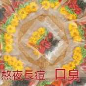 抖音同款 進口零食【養生茶推薦】菊花枸杞 金銀花茶 蒲公英 菊花茶包 明目養生茶可批發