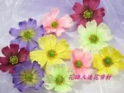 ◎花語人造花資材◎＊新品立體波斯菊花頭＊2款5色.婚禮~頭花~禮服配花~胸花~髮夾