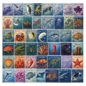 71號 海洋生物 藍鯨 小丑魚 透明 一組50張不重複 獎勵貼紙 婚宴小物 表演 活動 派對 裝飾 可貼在 手機 安全帽