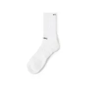 【BEAMS】官方旗艦館 BEAMS / 男裝 NEW BASIC 長襪