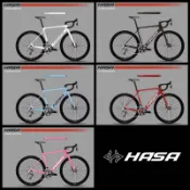 線上單車 HASA CORAGGIO 全隱藏 碳纖維碟煞公路車 自行車 碟煞公路車 公路車 RS1