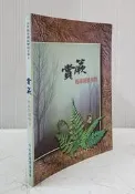 【達摩6本7折】賞蕨 梅峰蕨類植物｜行政院農業｜12416061