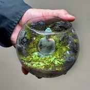 窟中之禪 / 主題性客製化造景生態缸