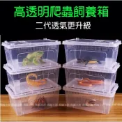 掌上名蛛【 飼養盒 】可堆疊 昆蟲盒 飼養箱 爬蟲箱 昆蟲箱 烏龜箱 守宮 角蛙 烏龜 昆蟲 蜘蛛 爬蟲 蠍子 澤龜