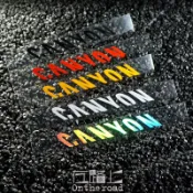 ✨丨可開發票🎉 canyon蠶蛹車架下管 前叉貼紙 公路車山地車反光環法比賽防水防 8HCS