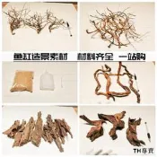 魚缸造景素材杜鵑根火山石沉木蝦木骨架膠根須草缸造景材料組合
