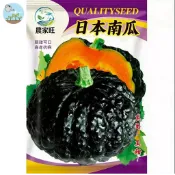 【原廠包裝】日本栗子南瓜種子（Japanese Pumpkin）16粒 粉質香甜 栗子口感 家庭菜園 陽台盆栽 豐產易種