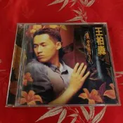 《啟元唱片》王柏森  乘虛而入 SOMEONE STEALS MY HEART 片況良好