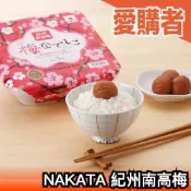 日本 NAKATA 紀州南高梅 梅撫子 鹽分5% 低鹽 減鹽 日本梅子 飯糰梅子 單包裝禮盒 送禮 高級禮盒 新年禮盒