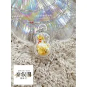 招財錢袋佛牌聖物現貨泰國阿贊力礦防水殼