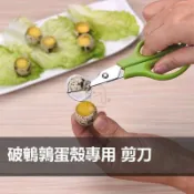 【桃園精品】304不鏽鋼 鳥蛋剪刀 破殼專用 剪刀 廚房 用品 烤鳥蛋 小鳥蛋 鵪鶉蛋 鳥蛋剪蛋鳥專用剪刀 不鏽鋼+A