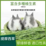【小寵牧草嚴選館】高纖小寵牧草 過篩 美國提摩西一割 二割 百幕達 苜蓿 澳洲燕麥草 甜小麥 兔子龍貓豚鼠荷蘭豬