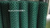 PVC塑膠包覆菱型網 （一般鍍鋅、鐵絲網、鐵網、金屬網、鍍鋅鐵網、圍籬用）