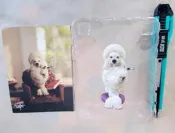 朝隈俊男( 貴賓犬 ) 犬之生活II