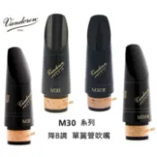【偉博樂器】公司貨正品 法國 Vandoren 豎笛吹嘴 M30 系列 Bb 單簧管 Lyre  Profile 88