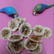 ♛醡漿草♛  水果乾 香蕉乾  鸚鵡 鼠 兔零食