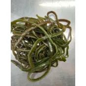 （巧薪小魚干）鹽漬海帶絲600g未發泡 可涼拌 豆乾絲