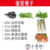【小美紀】優質 種子(園藝植作)甘藍 四季豆 甜碗豆 紅蘿蔔 蘿蔔 南瓜 大陸妹 土壤種植 蔬菜  短期種子 介質花卉