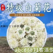 🔥客滿多🔥特惠秒殺💥白菊花茶 黃山貢菊500g特級白菊花泡水正品散裝菊花茶黃菊
