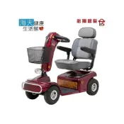 (店+)(HEF) 必翔 電動代步車 P型把手(TE-888N)