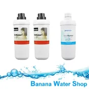 Banana Water Shop 《3支裝》《免運＋餘氯測試液》Norit 台灣諾得淨水濾芯 24.2.500x2支+24.2.101x1支