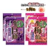 《番薯先生》日本 理本 RIBON 紀州 梅肉飴 生梅飴 梅子糖 梅子夾心糖 南高梅 立夢 生巨峰 葡萄糖 巨峰
