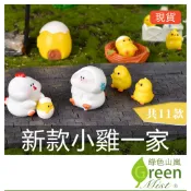 新款小雞一家 辦公室療癒 治癒系 小雞 母雞 蛋殼機 蛋殼屋 微景觀 盆栽裝飾 療癒【綠色山嵐】