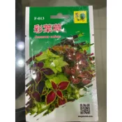 ［園藝田園小舖］花卉種子 彩葉草