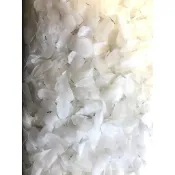 (魚心味)~~NG 小片  乾燥龍膽石斑魚鱗片 魚鱗片 膠原蛋白 【六包以內下標處】優惠價 199元