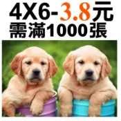 高級相紙4X6滿1000張每張3.8元洗相片.沖洗.印相片.洗照片.印照片.沖洗照片拍立得