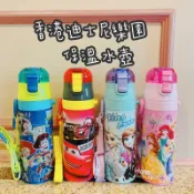 現貨❗️香港迪士尼樂園 保溫水壺冰雪奇緣閃電麥坤玩具總動員美人魚公主長髮貝兒 Skater