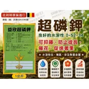 快樂家~ 比利時益欣超磷鉀 超磷鉀速效肥(0-52-34) 磷酸一鉀 磷酸二氫鉀 高磷鉀 抑制徒長、控制氮肥量 、催花