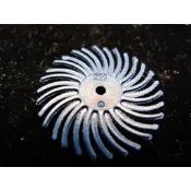美國3M旋風拋光輪 旋風輪 #400~#500 單片下標區