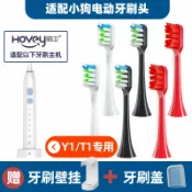 協貿國際日用品生活館 替換頭小狗電動牙刷頭適Y1/T1聲波美白清潔軟毛通用牙刷刷頭成人