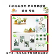 植物壁貼 多款清新植物 熱帶植物 花卉 牆面裝飾貼 牆貼 壁貼 裝飾畫 創意裝飾 蕨類 相框牆 牆壁植栽 六角形 網格