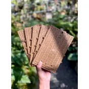[蕨的想買就買] 《五片1組 & 單片》小燕麥蜂巢板14cm*22cm 鹿角蕨/蕨類植物 /上板教學/塑膠板